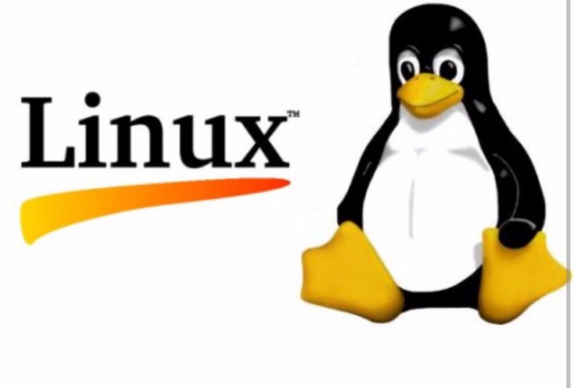 Linux From Scratch Training LXC Operating Systems - Beak Transparent PNG