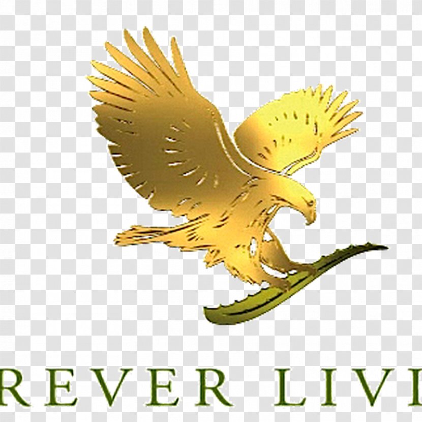 Forever Living Products Australia MEDIA SECTOR ALOE VERA GEL FOREVER The Store(Health And Beauty Store.) Transparent PNG