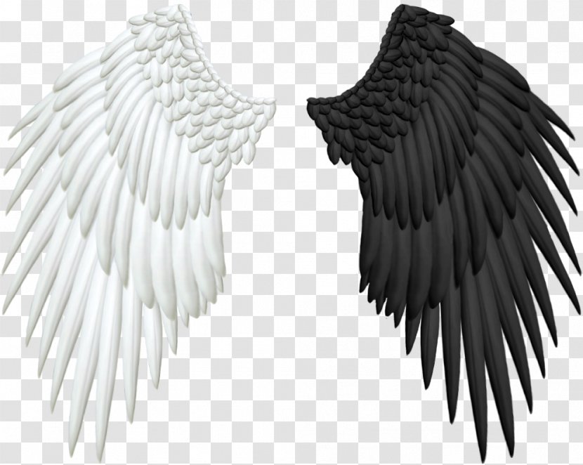Angel Wing Clip Art - Beak - Wings Transparent PNG