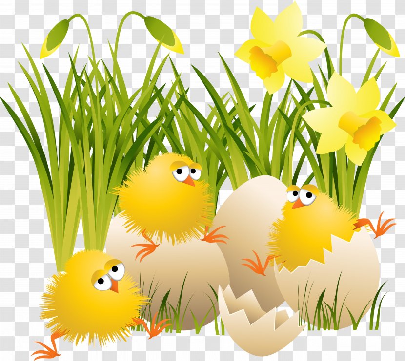 Chicken Easter Clip Art - Egg - Chick Transparent PNG
