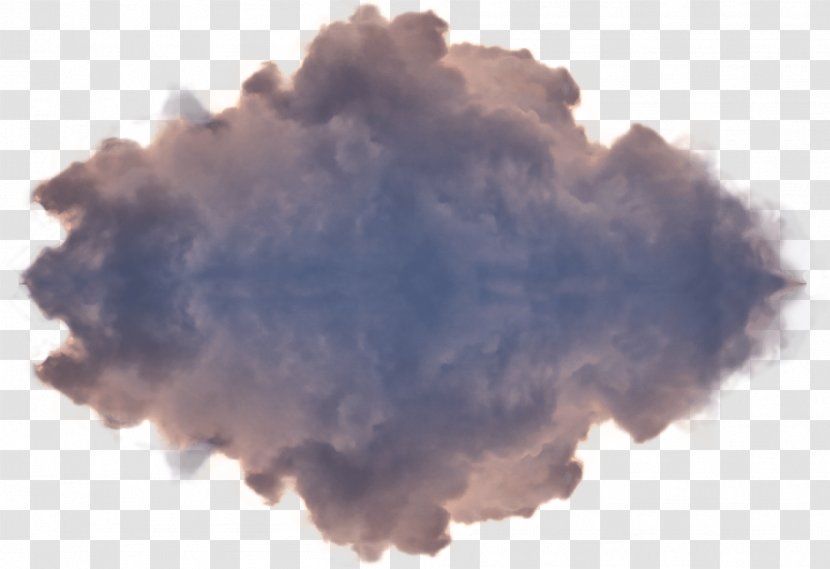 Australia 108 Cumulus Carr Design Group Northern Hemisphere - Flower - Watercolor Transparent PNG