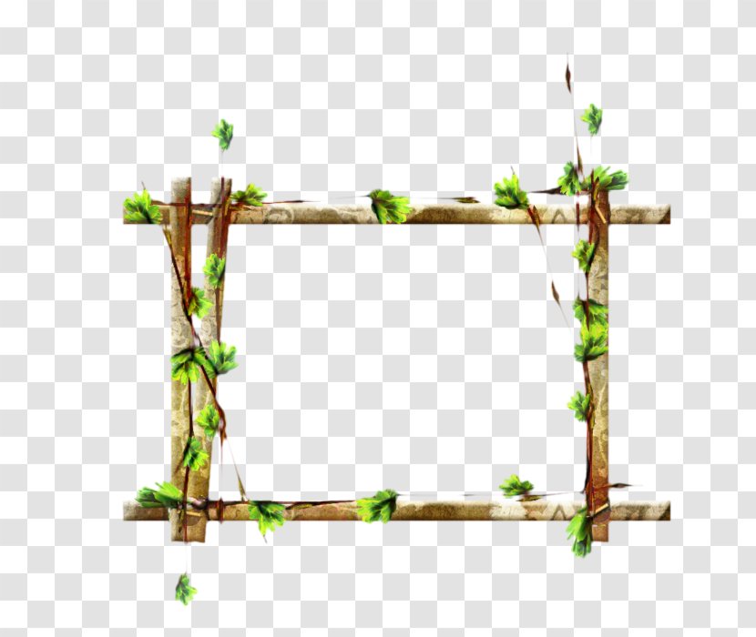 Flower Line - Plant - Rectangle Twig Transparent PNG