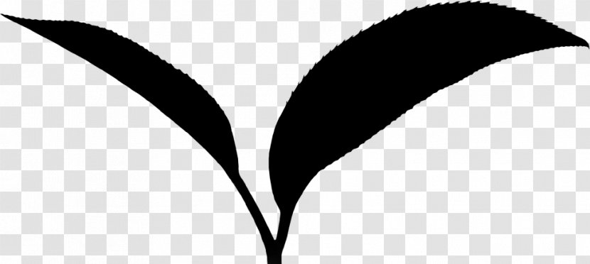 Leaf Plant Stem Line Clip Art Flowering - Branching - Logo Transparent PNG