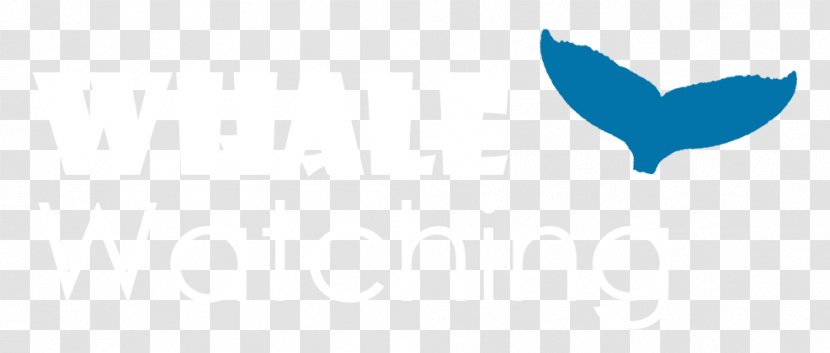 Logo Desktop Wallpaper Computer Line Font - Heart - Whale Watching Transparent PNG