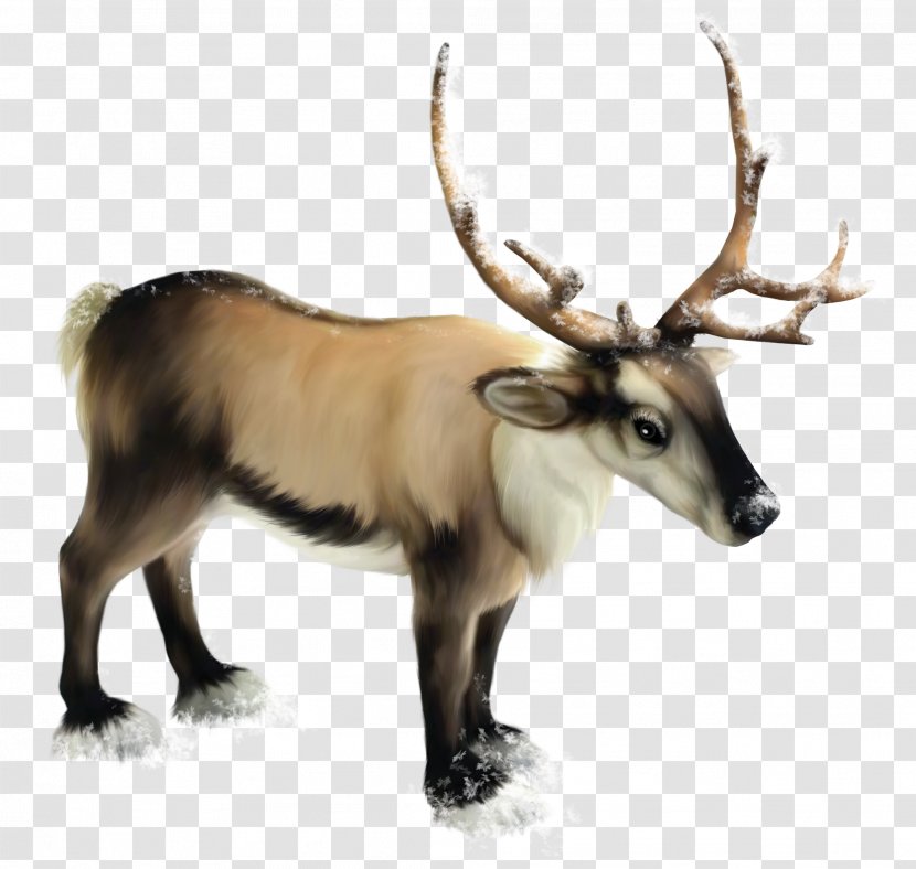 Reindeer Rudolph Clip Art - Wildlife - Clipart Transparent PNG