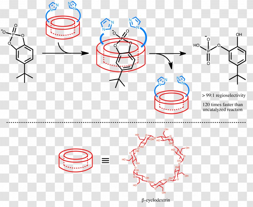 Supramolecular Catalysis Chemistry Cyclodextrin Coordination Complex - Watercolor - Frame Transparent PNG