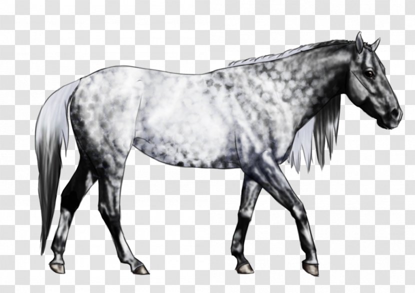 Mane Mustang Stallion Mare Rein - Halter - Grey Horse Transparent PNG
