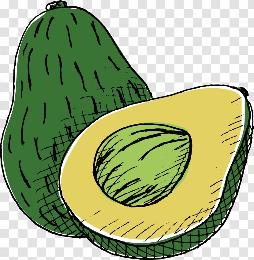 Avocado Drawing - Green - Vector Hand-painted Transparent PNG