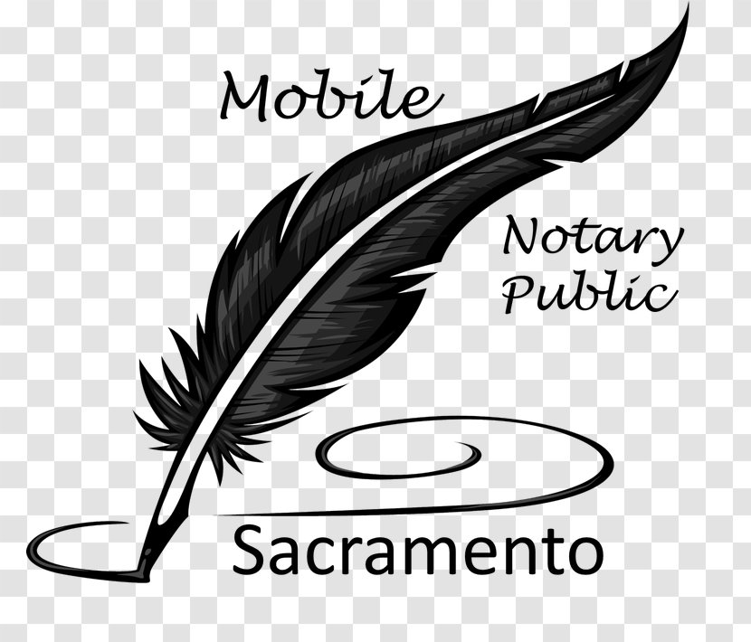 Writing Poetry Book Writer Word - Notary Public Transparent PNG