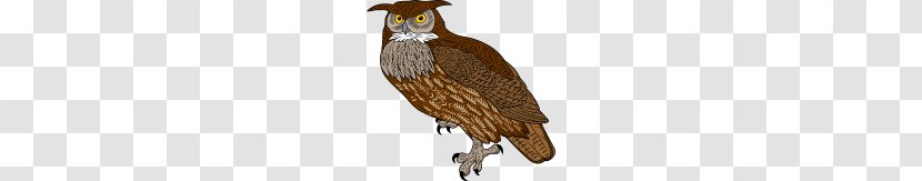 Great Horned Owl Bird Of Prey Clip Art - Barred - Cliparts Transparent PNG