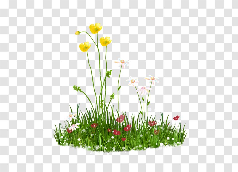 Clip Art Borders And Frames Image Rosa's Maintenance Inc Free Content - Grass - Lawn Transparent PNG