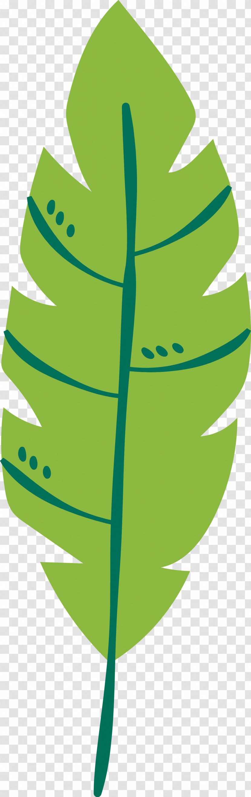 Plant Stem Leaf Green Fruit M-tree Transparent PNG