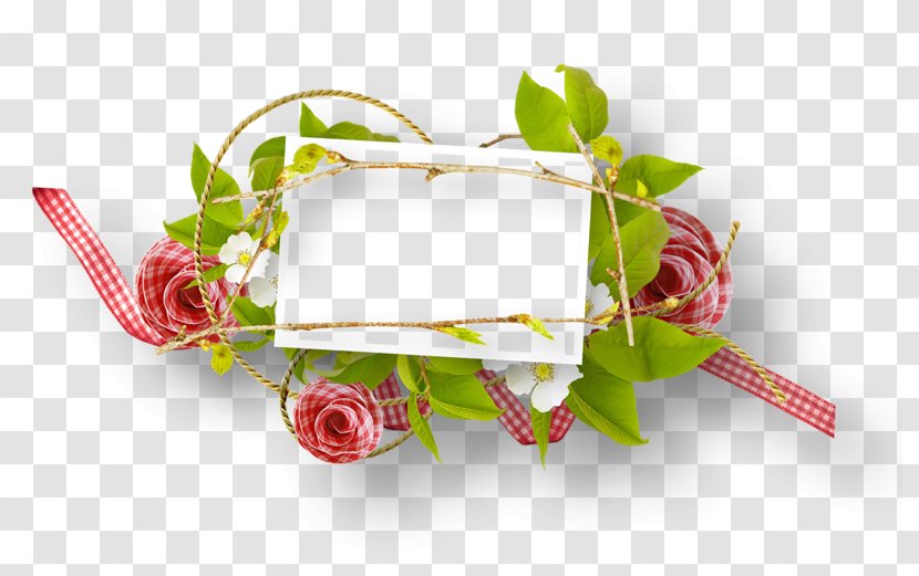 Garden Roses Flower Picture Frames Clip Art Transparent PNG