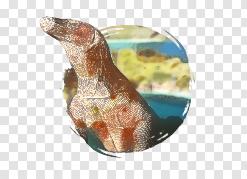 Dinosaur - Ceramic Transparent PNG