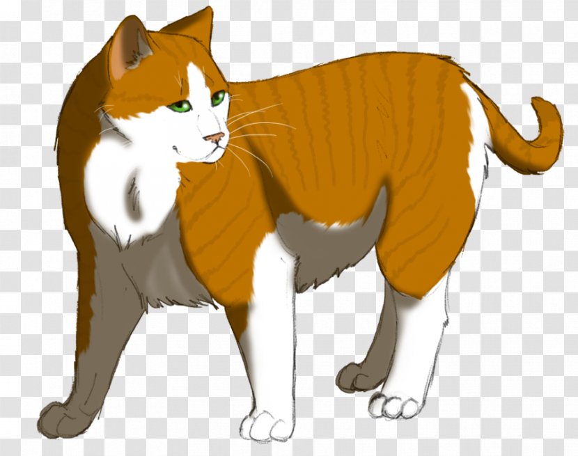 Cat Whiskers Warriors Billystorm SkyClan's Destiny - Sharpclaw - Leafstar Transparent PNG
