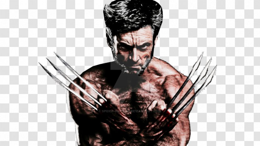 Wolverine Storm X-Men Film Superhero Movie - Beard - OLD MAN Transparent PNG
