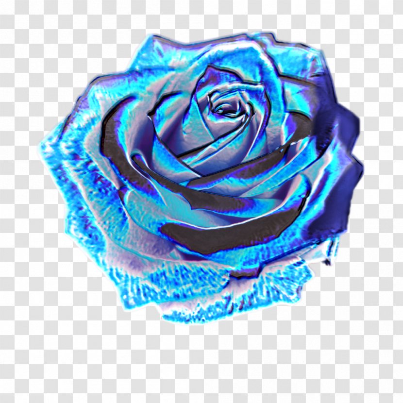 Garden Roses Image Holography - Rose Order - Hologram Transparent PNG