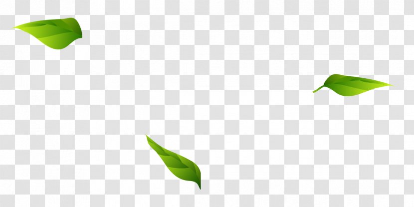 Green Leaf Angle Pattern - Branch - Leaves Transparent PNG