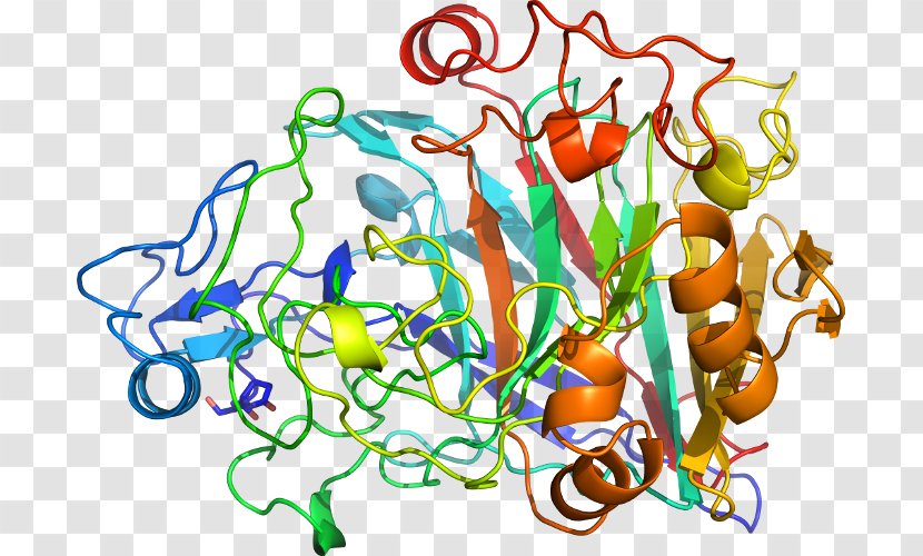 Molecular Biology Of The Cell Theory Celulă Eucariotă Enzyme - Definition - Artwork Transparent PNG