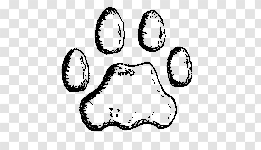 Cougar Lion Felidae Black Panther Paw - Silhouette Transparent PNG