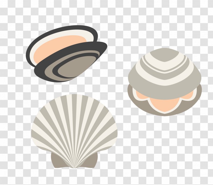 Seashell Euclidean Vector - Sea - Shell Material Transparent PNG