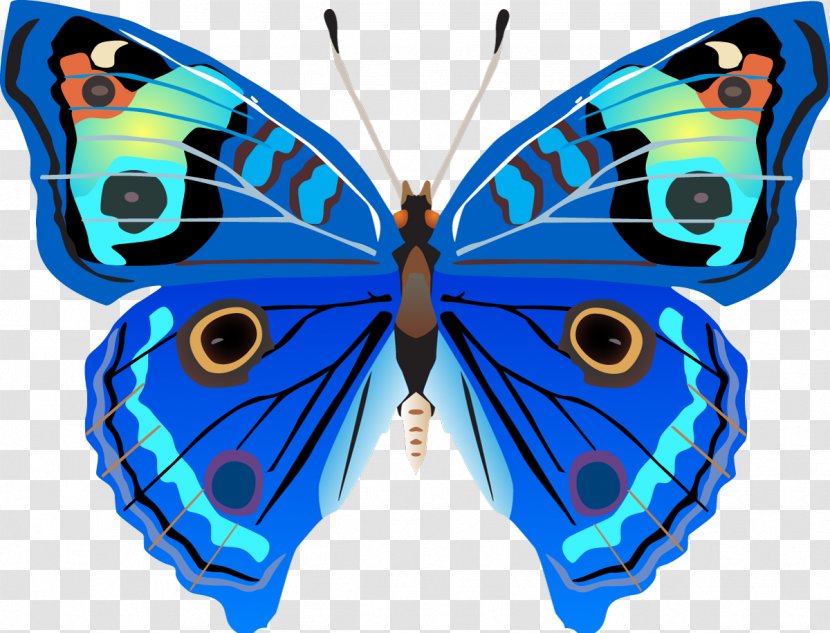 Butterfly Drawing Clip Art - Painting Transparent PNG
