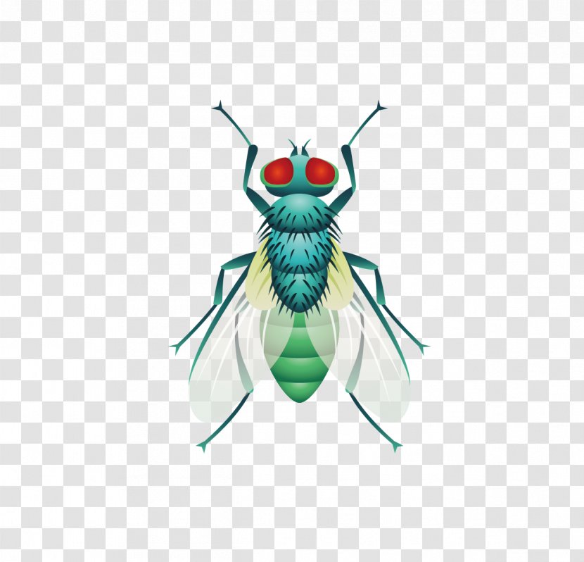 Fly Insect - Animal - Five Flies Vector Material Transparent PNG