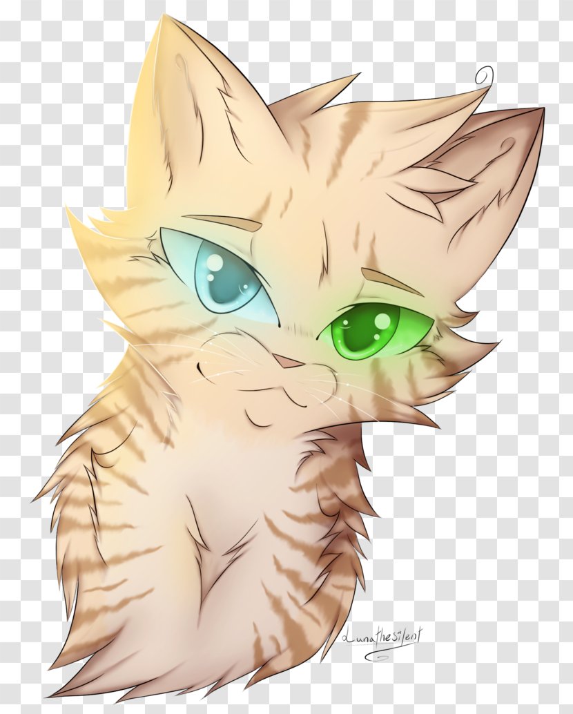 Whiskers Kitten Tabby Cat Paw - Cartoon - Leaf Drop Transparent PNG