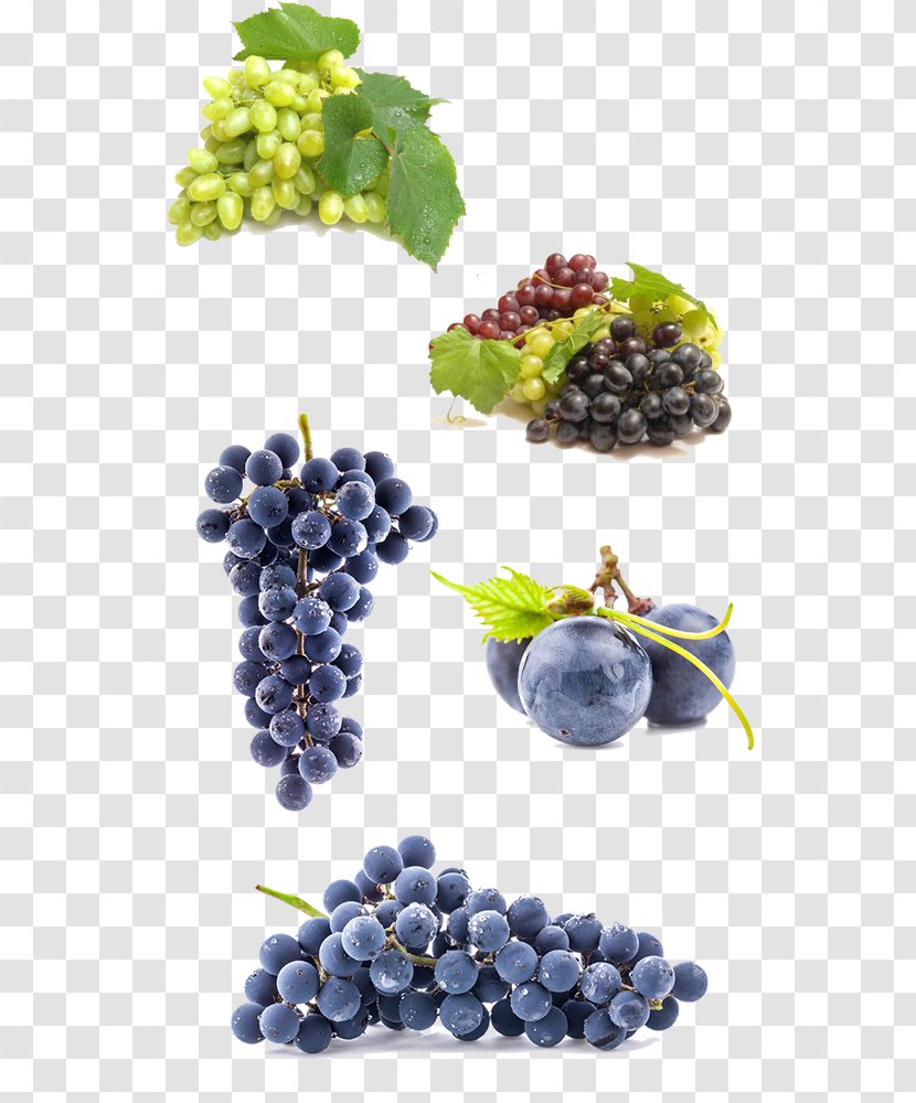 Beer Wine Grape Homebrewing - Fruit - Purple Grapes Transparent PNG