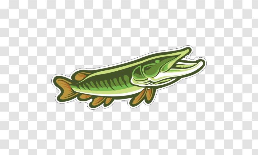 Drawing Muskellunge Clip Art - Stock Photography - Fish Transparent PNG
