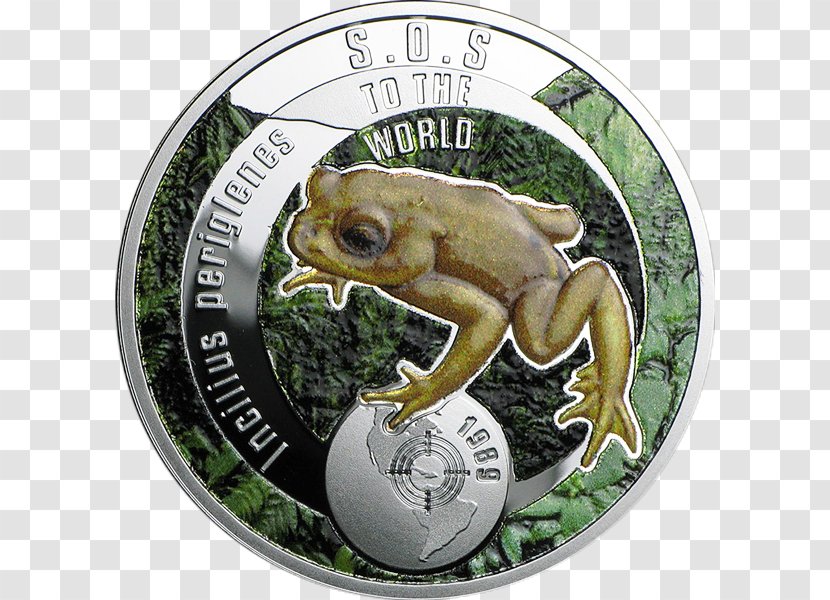 Toad True Frog Coin - Fauna Transparent PNG