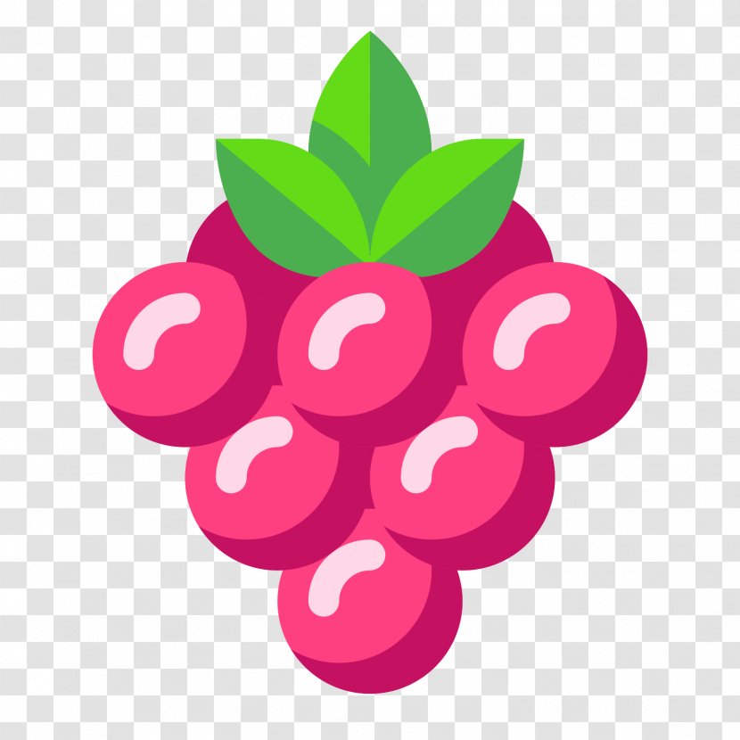Berry - Plant - STOBERRY Transparent PNG