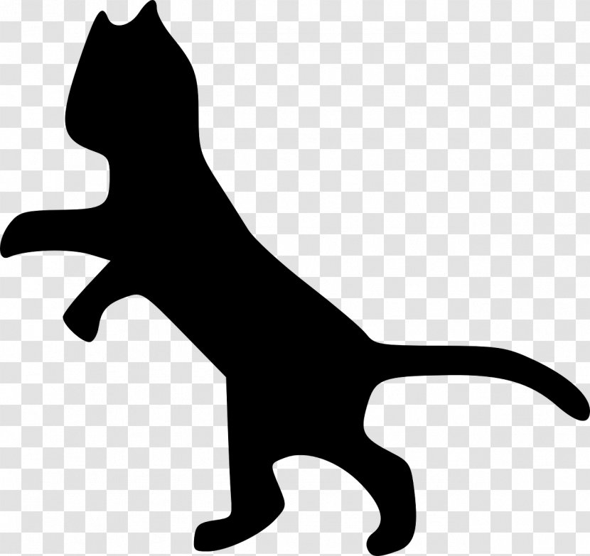Whiskers Cat Paw Black Mammal Transparent PNG