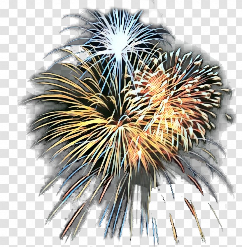 Fireworks Independence Day Clip Art Image Party - Sky - Recreation Transparent PNG