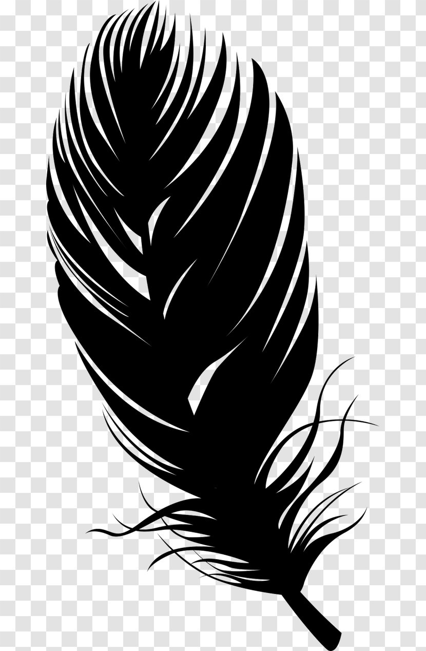 Bird Feather Silhouette - Plumage - Black Quill Pen Transparent PNG