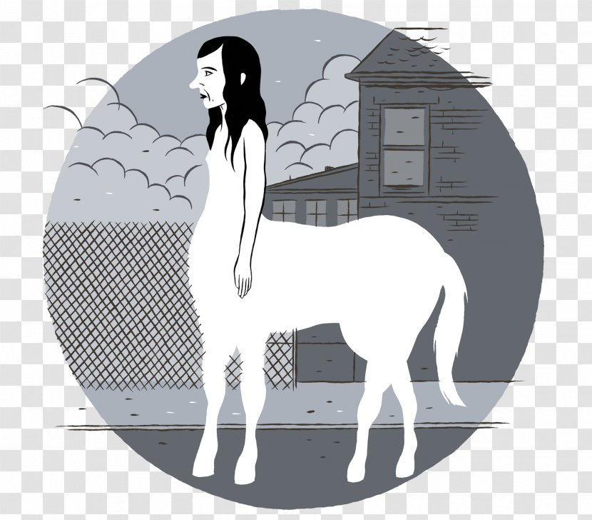 Comics Mustang Blog Pony Author - Mammal Transparent PNG