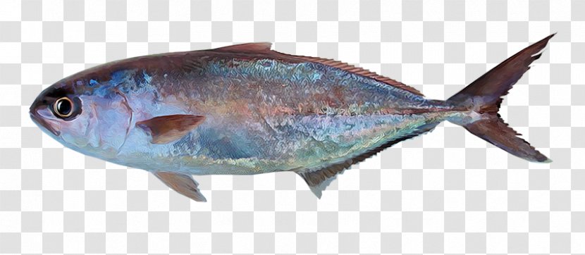 Sardine Mar De Grau Fish Sea Greater Amberjack - PESCADO Transparent PNG