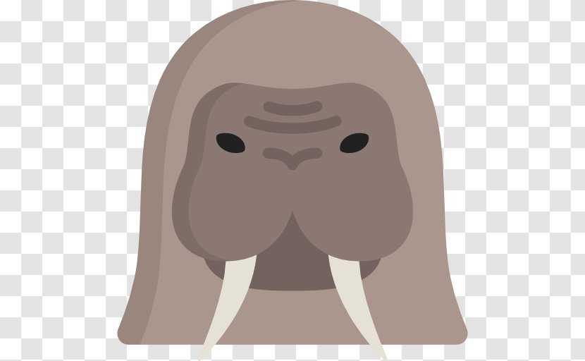 Face Nose Forehead Snout - Watercolor - Walrus Transparent PNG