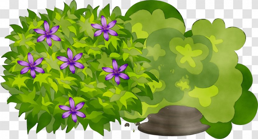 Purple Watercolor Flower - Family - Bellflower Violet Transparent PNG