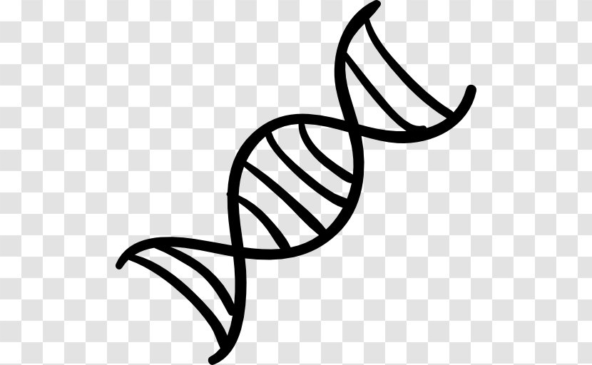 The Double Helix: A Personal Account Of Discovery Structure DNA Nucleic Acid Helix Genetics - Dna Vector Transparent PNG