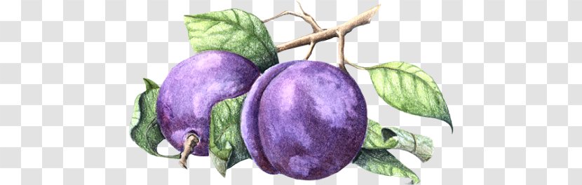 Fruit Drawing Jam Varenye - Leaf Transparent PNG