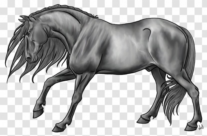 Drawing Pony Digital Art DeviantArt - Silhouette - Standing Horse Transparent PNG