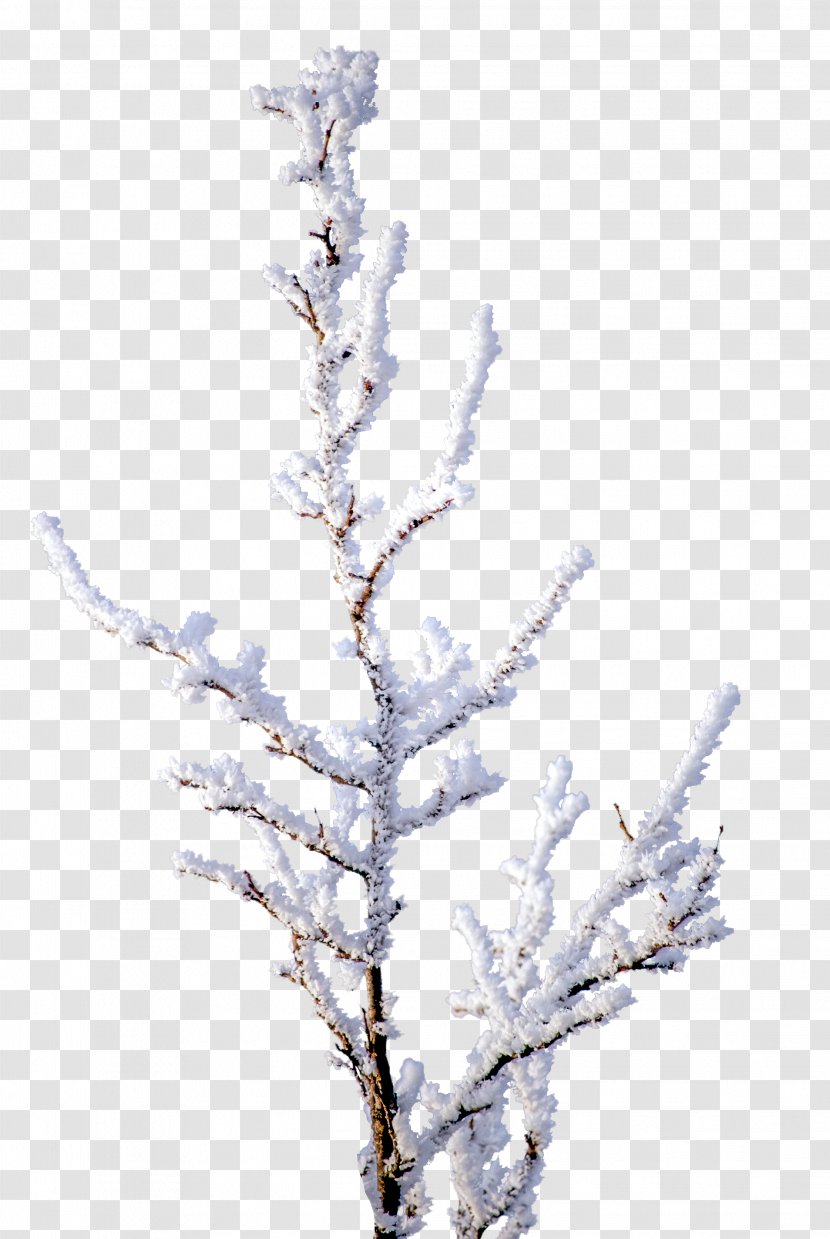 Snow Clip Art - White Transparent PNG