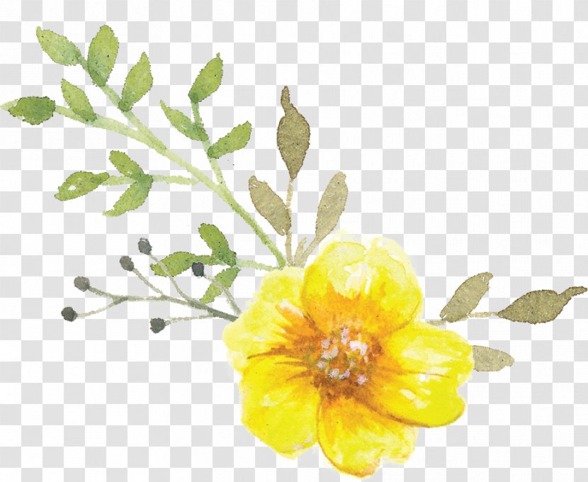 Zazzle IPhone 8 Petal Flower - Flora - Nosegay Transparent PNG