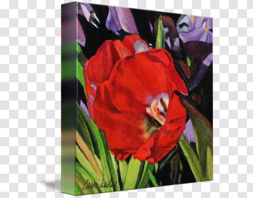 Amaryllis Belladonna Gallery Wrap Acrylic Paint Tulip Canvas - Printmaking - Fine Bouquet Transparent PNG