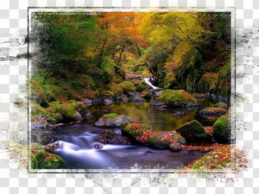 Desktop Wallpaper Landscape Autumn Forest Stream - State Park Transparent PNG
