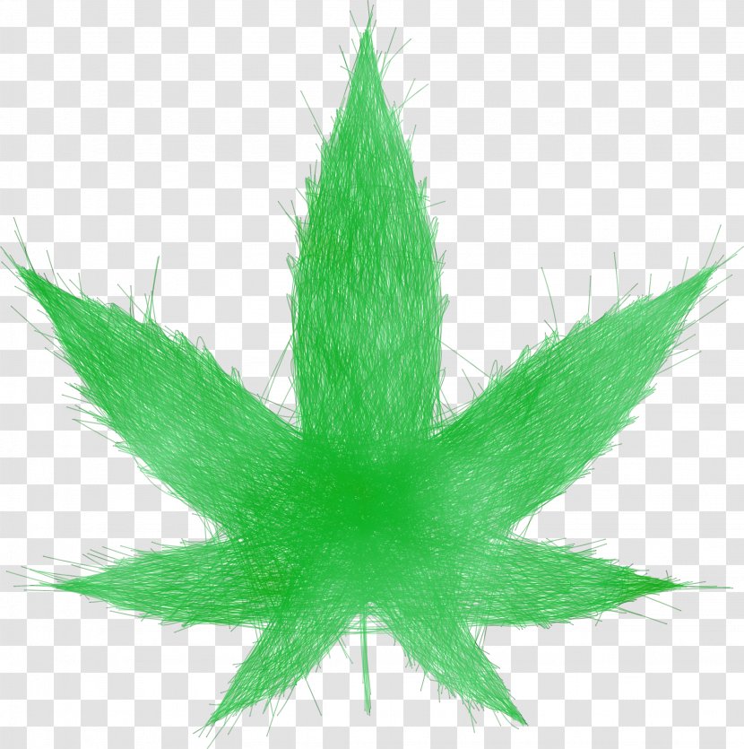 Cannabis Leaf Background - Weed Hemp Family Transparent PNG