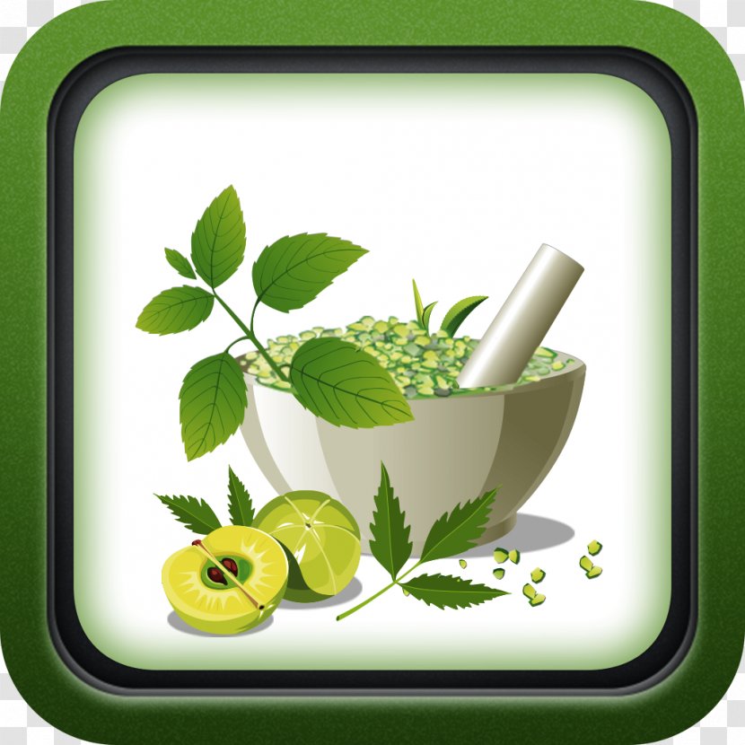 Ayurveda Alternative Health Services Medicine Herbalism Cure - Therapy Transparent PNG