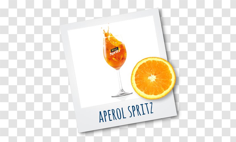 Cocktail Garnish Orange Drink Vitamin Transparent PNG