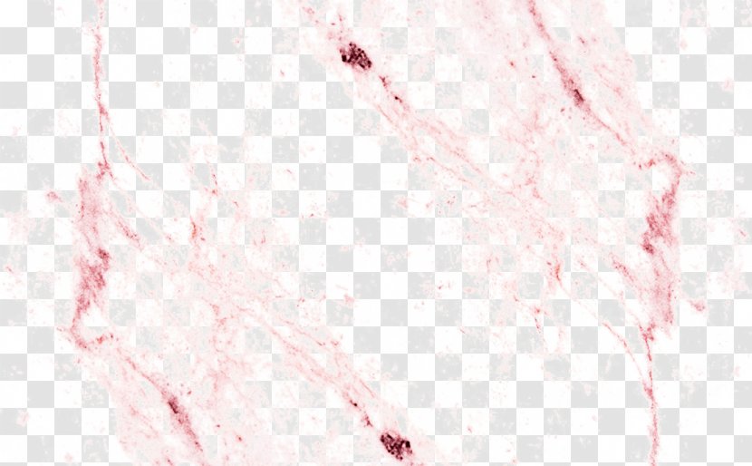 Marble Rock White Jade - Material - Stone Texture Transparent PNG